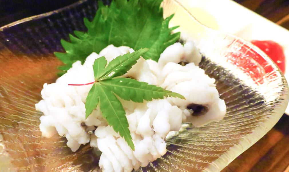 アナゴの画像