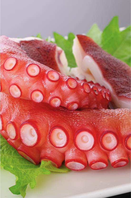 タコの画像